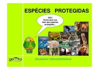 ESPÉCIES PROTEGIDAS
                Olá!!
          Venho para vos
         falar das espécies
            protegidas...




   www.geota.pt – geota.sec@netcabo.pt
 
