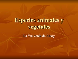 Especies animales y vegetales La Vía verda de Alcoy 