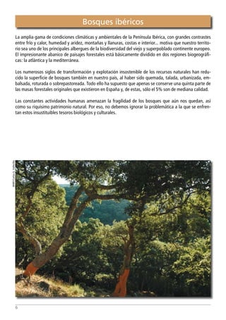 Bosques arboles y arbustos. Manual de especies ibéricas