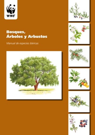 Bosques,
Árboles y Arbustos
Manual de especies ibéricas
 