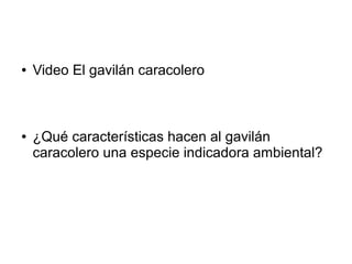● Video El gavilán caracolero
● ¿Qué características hacen al gavilán
caracolero una especie indicadora ambiental?
 