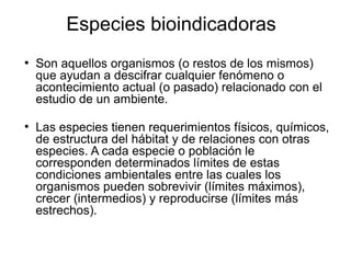 Especies bioindicadoras
●
Son aquellos organismos (o restos de los mismos)
que ayudan a descifrar cualquier fenómeno o
acontecimiento actual (o pasado) relacionado con el
estudio de un ambiente.
●
Las especies tienen requerimientos físicos, químicos,
de estructura del hábitat y de relaciones con otras
especies. A cada especie o población le
corresponden determinados límites de estas
condiciones ambientales entre las cuales los
organismos pueden sobrevivir (límites máximos),
crecer (intermedios) y reproducirse (límites más
estrechos).
 