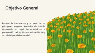 Objetivo General
Resaltar la importancia y el valor de las
principales especies forestales de interés,
destacando su papel fundamental en la
preservación del equilibrio medioambiental y
su utilidad para la humanidad.
 