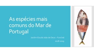 As espécies mais
comuns do Mar de
Portugal
Jardim-Escola João de Deus – Funchal
2018-2019
 
