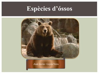 Espècies d’óssos

José Javier Goyes Vera

 