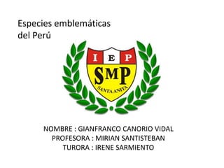 NOMBRE : GIANFRANCO CANORIO VIDAL
PROFESORA : MIRIAN SANTISTEBAN
TURORA : IRENE SARMIENTO
Especies emblemáticas
del Perú
 