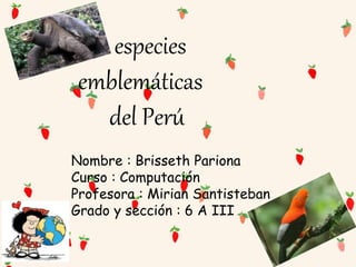 especies
emblemáticas
del Perú
Nombre : Brisseth Pariona
Curso : Computación
Profesora : Mirian Santisteban
Grado y sección : 6 A III
 
