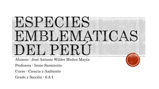 Alumno : José Antonio Wilder Muñoz Mayta
Profesora : Irene Sarmiento
Curso : Ciencia y Ambiente
Grado y Sección : 6 A-I
 