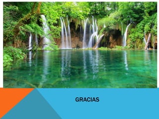 GRACIAS
 