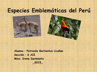 Especies Emblemáticas del Perú
Alumna : Petronila Barrientos Ucañan
Sección : 6 AII
Miss: Irene Sarmiento
_2015_
 