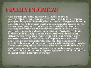  Una especie endémica (también llamadas especies
  microareales), es aquella especie o taxón (puede ser un género
  por ejemplo) que está restringido a una ubicación geográfica muy
  concreta y fuera de esta ubicación no se encuentra en otra parte.
  La extensión geográfica puede ser muy variable habiendo
  especies endémicas de una población determinada o de una
  provincia, país,... (ej. plantas endémicas de Australia, o plantas
  endémicas de Ibiza, igualmente hay anfibios endémicos en
  Baleares, insectos y aves - por ejemplo.). El endemismo surge
  como consecuencia de la especiación que se provoca ante la
  aparición de barreras naturales que impiden el intercambio
  genético, de este modo, aparecen especies diferentes restringidas
  a esas zonas geográficas. Estas especies son más vulnerables a la
  extinción pues sus poblaciones suelen ser reducidas en número
  de individuos y por tanto su respuesta genética ante el cambio de
  las condiciones naturales es menor.
 