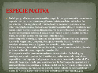  En biogeografía, una especie nativa, especie indígena o autóctona es una
  especie que pertenece a una región o ecosistema determinados. Su
  presencia en esa región es el resultado de fenómenos naturales sin
  intervención humana. Todos los organismos naturales, en contraste con
  organismos domesticados, tienen su área de distribución dentro de la
  cual se consideran nativos. Fuera de esa región si son llevadas por los
  humanos se las considera especies introducidas.
  Por ejemplo la hormiga argentina Linepithema humile es una especie
  nativa de Argentina, Uruguay, Paraguay y sur de Brasil. Fue llevada
  accidentalmente a otros lugares del mundo, incluyendo
  África, Europa, Australia, Nueva Zelanda, Japón y Norteamérica, donde
  se ha establecido como especie introducida.
  Una especie nativa no es necesariamente endémica. En biología y
  ecología endémico quiere decir nativo exclusivamente de una biota
  específica. Una especie indígena puede ocurrir en más de un local. Por
  ejemplo dos especies de grullas africanas, la Anthropoides paradisea o
  grulla del paraíso es nativa y endémica del sur de África, mientras que la
  grulla Bugeranus carunculatus o grulla carunculada es nativa del sur y
  norte de África. La última tiene una distribución más amplia, por
 