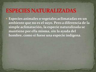  Especies animales o vegetales aclimatadas en un
 ambiente que no es el suyo. Pero a diferencia de la
 simple aclimatación, la especie naturalizada se
 mantiene por ella misma, sin la ayuda del
 hombre, como si fuese una especie indígena.
 