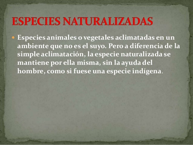 Especies Endemicas En Extincion Etc