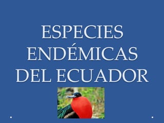 ESPECIES
ENDÉMICAS
DEL ECUADOR
 
