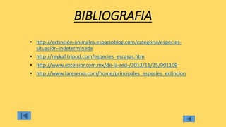BIBLIOGRAFIA
• http://extinción-animales.espacioblog.com/categoría/especies-
situación-indeterminada
• http://reykaf.tripod.com/especies_escasas.htm
• http://www.excelsior.com.mx/de-la-red-/2013/11/25/901109
• http://www.lareserva.com/home/principales_especies_extincion
 