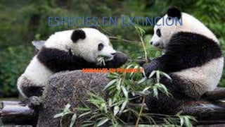 ESPECIES EN EXTINCION
 