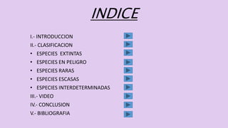 INDICE
I.- INTRODUCCION
II.- CLASIFICACION
• ESPECIES EXTINTAS
• ESPECIES EN PELIGRO
• ESPECIES RARAS
• ESPECIES ESCASAS
• ESPECIES INTERDETERMINADAS
III.- VIDEO
IV.- CONCLUSION
V.- BIBLIOGRAFIA
 