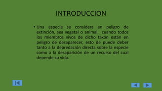 INTRODUCCION
• Una especie se considera en peligro de
extinción, sea vegetal o animal, cuando todos
los miembros vivos de dicho taxón están en
peligro de desaparecer, esto de puede deber
tanto a la depredación directa sobre la especie
como a la desaparición de un recurso del cual
depende su vida.
 