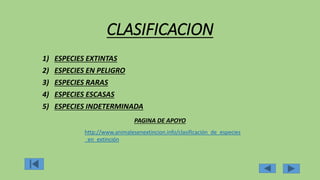 CLASIFICACION
1) ESPECIES EXTINTAS
2) ESPECIES EN PELIGRO
3) ESPECIES RARAS
4) ESPECIES ESCASAS
5) ESPECIES INDETERMINADA
PAGINA DE APOYO
http://www.animalesenextincion.info/clasificación_de_especies
_en_extinción
 