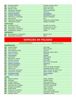 007. Cinclodes palliatus Churrete de pecho blanco 
008. Crax globulosa Paujil carunculado 
009. Neochen jubata Ganso del Orinoco 
010. Nothoprocta kalinowskii Perdiz de Kalinowski 
011. Pelecanoides garnotii Potoyunco 
012. Penelope albipennis Pava aliblanca 
013. Podiceps taczanowskii Zambullidor de Junín 
014. Pterodroma p. phaeopygia Petrel de Galápagos 
015. Rhea pennata Suri 
016. Taphrolesbia griseiventris Picaflor de cometa ventrigris 
017. Thalassarche eremita Albatros de Chattam 
REPTILES: 
018. Crocodylus acutus Cocodrilo de Tumbes 
019. Dermochelys coriacea Tortuga dorso de cuero 
020. Peltocephalus dumerilianus Guacamayo charapa 
021. Phyllodactylus sentosus Saltojo 
ANFIBIOS: 
022. Batrachophrynus macrostomus Rana de Junín 
023. Epipedobates planipaleae Rana 
ESPECIES EN PELIGRO 
Nombre Científico Nombre Común 
MAMÍFEROS: 
024. Alouatta palliata Coto negro 
025. Aotus miconax Mono nocturno 
026. Arctocephalus australis Lobo fino 
027. Ateles belzebuth Maquisapa vientre blanco 
028. Dinomys branickii Pacarana 
029. Lama guanicoe Guanaco 
030. Lontra felina Nutria marina 
031. Mormopterus phrudus Murciélago 
032. Oreailurus jacobita Gato andino 
033. Oreonax flavicauda Mono choro cola amarilla 
034. Pteronura brasiliensis Lobo de río 
035. Pudu mephistophiles Pudú 
036. Saguinus labiatus Pichico de barriga anaranjada 
037. Sturnira nana Murciélago frugívoro enano 
038. Thomasomys pyrrhonotus Ratón montaraz de vientre rojizo 
039. Thomasomys rosalinda Ratón montaraz rosalinda 
040. Tremarctos ornatus Oso de anteojos 
041. Trichechus inunguis Manatí 
AVES: 
042. Agriornis andicola Arriero coliblanca 
043. Ajaia ajaja Espátula rosada 
044. Anairetes alpinus Torito pechicenizo 
045. Atlapetes melanopsis Matorralero de anteojos 
046. Aulacorhynchus huallagae Tucancito semiamarillo 
047. Brotogeris pyrrhopterus Perico macareño 
048. Eulidia yarrellii Colibrí de Tacna 
049. Grallaricula ochraceifrons Tororoi frentiocrácea 
050. Herpsilochmus parkeri Hormiguerito garganticeniza 
051. Laterallus tuerosi Gallinetita de Junín 
 