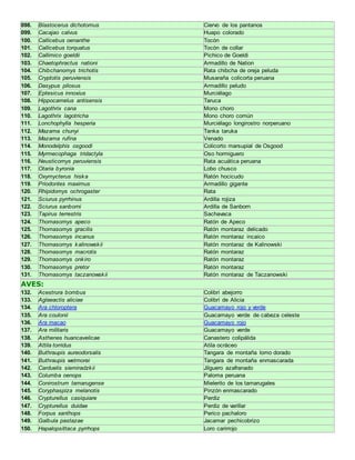 098. Blastocerus dichotomus Ciervo de los pantanos 
099. Cacajao calvus Huapo colorado 
100. Callicebus oenanthe Tocón 
101. Callicebus torquatus Tocón de collar 
102. Callimico goeldii Pichico de Goeldi 
103. Chaetophractus nationi Armadillo de Nation 
104. Chibchanomys trichotis Rata chibcha de oreja peluda 
105. Cryptotis peruviensis Musaraña colicorta peruana 
106. Dasypus pilosus Armadillo peludo 
107. Eptesicus innoxius Murciélago 
108. Hippocamelus antisensis Taruca 
109. Lagothrix cana Mono choro 
110. Lagothrix lagotricha Mono choro común 
111. Lonchophylla hesperia Murciélago longirostro norperuano 
112. Mazama chunyi Tanka taruka 
113. Mazama rufina Venado 
114. Monodelphis osgoodi Colicorto marsupial de Osgood 
115. Myrmecophaga tridactyla Oso hormiguero 
116. Neusticomys peruviensis Rata acuática peruana 
117. Otaria byronia Lobo chusco 
118. Oxymycterus hiska Ratón hocicudo 
119. Priodontes maximus Armadillo gigante 
120. Rhipidomys ochrogaster Rata 
121. Sciurus pyrrhinus Ardilla rojiza 
122. Sciurus sanborni Ardilla de Sanborn 
123. Tapirus terrestris Sachavaca 
124. Thomasomys apeco Ratón de Apeco 
125. Thomasomys gracilis Ratón montaraz delicado 
126. Thomasomys incanus Ratón montaraz incaico 
127. Thomasomys kalinowskii Ratón montaraz de Kalinowski 
128. Thomasomys macrotis Ratón montaraz 
129. Thomasomys onkiro Ratón montaraz 
130. Thomasomys pretor Ratón montaraz 
131. Thomasomys taczanowskii Ratón montaraz de Taczanowski 
AVES: 
132. Acestrura bombus Colibrí abejorro 
133. Aglaeactis aliciae Colibrí de Alicia 
134. Ara chloroptera Guacamayo rojo y verde 
135. Ara coulonii Guacamayo verde de cabeza celeste 
136. Ara macao Guacamayo rojo 
137. Ara militaris Guacamayo verde 
138. Asthenes huancavelicae Canastero colipálida 
139. Attila torridus Atila ocráceo 
140. Buthraupis aureodorsalis Tangara de montaña lomo dorado 
141. Buthraupis wetmorei Tangara de montaña enmascarada 
142. Carduelis siemiradzkii Jilguero azafranado 
143. Columba oenops Paloma peruana 
144. Conirostrum tamarugense Mielerito de los tamarugales 
145. Coryphaspiza melanotis Pinzón enmascarado 
146. Crypturellus casiquiare Perdiz 
147. Crypturellus duidae Perdiz de varillar 
148. Forpus xanthops Perico pachaloro 
149. Galbula pastazae Jacamar pechicobrizo 
150. Hapalopsittaca pyrrhops Loro carirrojo 
 