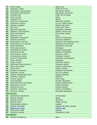 151. Harpia harpyja Águila arpía 
152. Heliangelus regalis Ángel del sol azul 
153. Hemispingus rufosuperciliaris Hemispingo cejirrufa 
154. Hylocryptus erythrocephalus Rascahojas capuchirrufo 
155. Incaspiza ortizi Pájaro del inca aligris 
156. Jabiru mycteria Jabiru 
157. Larosterna inca Zarcillo 
158. Lathrotriccus griseipectus Mosquerito pechigris 
159. Leptosittaca branickii Loro de mejillas doradas 
160. Lipaugus uropygialis Silbador alicimitarra 
161. Mitu salvini Paujil vientre blanco 
162. Myrmeciza griseiceps Hormiguero cabecigris 
163. Neopelma chrysocephalum Saltarín corona de oro 
164. Netta erythropthalma Pato cabeza castaña 
165. Notharchus ordii Buco 
166. Nothoprocta taczanowskii Perdiz de Taczanowski 
167. Nyctibius leucopterus Ayamama patablanca 
168. Oceanodroma markhami Golondrina de tempestad oscura 
169. Onychorhynchus occidentalis Atrapamoscas occidental 
170. Ortalis erythroptera Chachalaca cabecirrufa 
171. Percnostola arenarum Hormiguero 
172. Phacellodomus dorsalis Espinero dorsicastaño 
173. Phoebastria irrorata Albatros de Galápagos 
174. Phoenicoparrus andinus Parihuana andina 
175. Phoenicoparrus jamesi Parihuana de James 
176. Picumnus steindachneri Carpinterito pechijaspeado 
177. Pithys castanea Hormiguero 
178. Progne murphyi Golondrina peruana 
179. Siptornopsis hypochondriacus Colaespina grande 
180. Sterna hirundinacea Gaviotín sudamericano 
181. Sterna lorata Gaviotín peruano 
182. Synallaxis maranonica Colaespina del Marañón 
183. Syndactyla ruficollis Tico tico cuellirrufo 
184. Tangara meyerdeschauenseei Tangara gorriverde 
185. Theristicus melanopis Bandurria 
186. Tinamus osgoodi Perdiz negra 
187. Touit stictoptera Periquito alipunteado 
188. Wetmorethraupis sterrhopteron Tangara gargantinaranja 
189. Xenospingus concolor Fringilo apizarrado 
190. Xipholena punicea Cotinga purpúrea 
191. Zaratornis stresemanni Cotinga cachetiblanco 
192. Zimmerius villarejoi Moscarete de Mishana 
REPTILES: 
193. Batrachemys heliostemma Ashnacharapa 
194. Bothrops andianus Jergón 
195. Bothrops barnetti Macanche 
196. Bothrops pictus Jergón de costa 
197. Ctenoblepharis adspersa Lagartija 
198. Dicrodon heterolepis Lagartija de cabeza colorada 
199. Melanosuchus niger Caiman negro 
200. Podocnemis unifilis Taricaya 
201. Polychrus femoralis Camaleoncito verde 
ANFIBIOS: 
202. Atelopus pachydermus Sapo 
 
