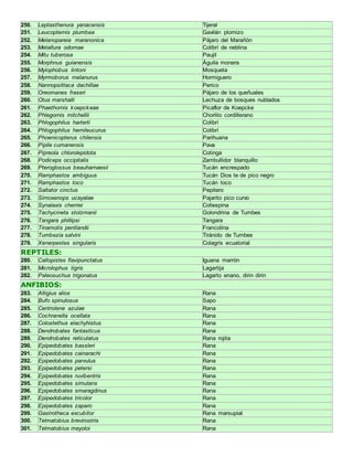 250. Leptasthenura yanacensis Tijeral 
251. Leucopternis plumbea Gavilán plomizo 
252. Melanopareia maranonica Pájaro del Marañón 
253. Metallura odomae Colibrí de neblina 
254. Mitu tuberosa Paujil 
255. Morphnus guianensis Águila monera 
256. Myiophobus lintoni Mosqueta 
257. Myrmoborus melanurus Hormiguero 
258. Nannopsittaca dachillae Perico 
259. Oreomanes fraseri Pájaro de los queñuales 
260. Otus marshalli Lechuza de bosques nublados 
261. Phaethornis koepckeae Picaflor de Koepcke 
262. Phlegornis mitchellii Chorlito cordillerano 
263. Phlogophilus harterti Colibrí 
264. Phlogophilus hemileucurus Colibrí 
265. Phoenicopterus chilensis Parihuana 
266. Pipile cumanensis Pava 
267. Pipreola chlorolepidota Cotinga 
268. Podiceps occipitalis Zambullidor blanquillo 
269. Pteroglossus beauharnaesii Tucán encrespado 
270. Ramphastos ambiguus Tucán Dios te de pico negro 
271. Ramphastos toco Tucán toco 
272. Saltator cinctus Pepitero 
273. Simoxenops ucayalae Pajarito pico curvo 
274. Synalaxis cherriei Coliespina 
275. Tachycineta stolzmanii Golondrina de Tumbes 
276. Tangara phillipsi Tangara 
277. Tinamotis pentlandii Francolina 
278. Tumbezia salvini Tiránido de Tumbes 
279. Xenerpestes singularis Colagris ecuatorial 
REPTILES: 
280. Callopistes flavipunctatus Iguana marrón 
281. Microlophus tigris Lagartija 
282. Paleosuchus trigonatus Lagarto enano, dirin dirin 
ANFIBIOS: 
283. Altigius alios Rana 
284. Bufo spinulosus Sapo 
285. Centrolene azulae Rana 
286. Cochranella ocellata Rana 
287. Colostethus elachyhistus Rana 
288. Dendrobates fantasticus Rana 
289. Dendrobates reticulatus Rana rojita 
290. Epipedobates bassleri Rana 
291. Epipedobates cainarachi Rana 
292. Epipedobates parvulus Rana 
293. Epipedobates petersi Rana 
294. Epipedobates ruvibentris Rana 
295. Epipedobates simulans Rana 
296. Epipedobates smaragdinus Rana 
297. Epipedobates tricolor Rana 
298. Epipedobates zaparo Rana 
299. Gastrotheca excubitor Rana marsupial 
300. Telmatobius brevirostris Rana 
301. Telmatobius mayoloi Rana 
 