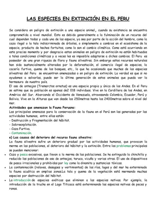 LAS ESPECIES EN EXTINCIÓN EN EL PERU 
Se considera en peligro de extinción a una especie animal, cuando su existencia se encuentra 
comprometida a nivel mundial. Esto es debido generalmente a la fulminación de un recurso del 
cual dependen todas y cada una de las especie, ya sea por parte de la acción del hombre, como la 
caza ilegal o la tala indiscriminada de árboles, o simplemente a cambios en el ecosistema de la 
especie, producto de hechos fortuitos, como lo son el cambio climático. Como está ocurriendo en 
este preciso momento y por desgracia estos animales en peligro de extinción no están habituados 
a tales condiciones climáticas y a veces les es imposible adaptarse a dichos cambios. El Peru es 
poseedor de una gran riqueza de flora y fauna silvestres. Sin embargo estos recursos naturales 
han sido sustancialmente alterados por la deforestación, el comercio ilegal de especies, la 
cacería furtiva, quema de los bosques, etc., lo que ha ocasionado que muchas de las especies 
silvestres del Peru se encuentren amenazadas o en peligro de extinción. La verdad es que si no 
ayudamos a salvarlas, puede ser la última generación de estos animales que pueda ver la 
hermosura de nuestro país. 
El oso de anteojos (Tremarctos ornatus) es una especie propia y única de los Andes. En el Peru 
se estima que su población es apenas de2 018 individuos. Vive en la Cordillera de los Andes, en 
América del Sur. Abarcando el Occidente de Venezuela, atravesando Colombia, Ecuador, Perú y 
Bolivia. Vive en la Alturas que van desde los 250metros hasta los 2400metros sobre el nivel del 
mar. 
Actividades que amenazan la Fauna Peruana: 
Las principales amenazas para la conservación de la fauna en el Perú son las generadas por las 
actividades humanas, entre ellas están: 
- Destrucción y Fragmentación del hábitat. 
- Sobreexplotación. 
- Caza Furtiva. 
- Contaminación. 
e) Las causas del deterioro del recurso fauna silvestre: 
La fauna silvestre sufre un deterioro gradual por las actividades humanas, que provocan la 
merma en las poblaciones, el deterioro del hábitat y la extinción. Entre los problemas principales 
se pueden mencionar: 
 Caza y pesca excesivas, que llevan a la merma de las poblaciones. Se ha extinguido la chinchilla y 
reducido las poblaciones de oso de anteojos, taruca, vicuña y varias otras. El uso de dispositivos 
de pesca irracionales y prohibidos por ley como la dinamita y sustancias tóxicas. 
 La contaminación (relaves, desagües y vertimientos) de los ríos, lagos y del mar ha exterminado 
la fauna acuática en amplias zonas.La tala y quema de la vegetación está mermando muchas 
especies por destrucción del hábitat. 
 La introducción de especies exóticas que eliminan a las especies nativas. Por ejemplo, la 
introducción de la trucha en el Lago Titicaca está exterminando las especies nativas de peces y 
ranas. 
 