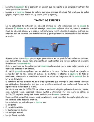  La falta de educación de la población en general, que no respeta a los animales silvestres y los 
"mata por el afán de matar". 
 La caza y el comercio ilegales de pieles y cueros de animales silvestres. Tal es el caso de pieles 
(jaguar, trigrillo, lobo de río, etc.) y cueros (boas y lagartos). 
TRÁFICO DE ESPECIES 
En la actualidad la extinción de especies animales no está relacionada con la escasez de 
alimentos. El hombre es su principal enemigo con acciones violentas directas, como el comercio 
ilegal de especies salvajes y la caza, o indirectas como la introducción de especies exóticas que 
compiten por los recursos con animales nativos y principalmente la destrucción de los hábitats 
naturales. 
Algunos países poseen leyes que protegen, generalmente en un grado ínfimo, a diversos animales, 
pero los controles ideados hasta el presente son insuficientes, a la hora de detener el creciente 
deterioro de la biodiversidad. 
Ante la pasividad de los gobiernos las industrias relacionadas con la caza indiscriminada y el 
trafico de animales va en aumento. 
Al existir grupos inescrupulosos que se dedican a la caza furtiva e ilegal de ejemplares 
protegidos por la ley, ponen en peligro su existencia y afectan el equilibrio de todo el 
ecosistema, amenazando el crecimiento natural de todos los integrantes de la sociedad, los de 
hoy y los de mañana. 
El comercio de vida silvestre no es un simple problema que preocupe a unos cuantos fanáticos 
que defienden a los animales, sino que es un problema ambiental , que involucra el futuro de la 
supervivencia de la vida en la Tierra. 
Se calcula que mas de 15.000.000 de pieles se venden al año principalmente de nutrias, zorros, 
osos, castores, focas, leopardos, visones, martas y chinchillas. Por otra parte se estima en 
10.000.000 de pieles de reptiles entran en el circuito de venta clandestina. 
Peces, ardillas, armadillos, monos, loros, camaleones y aves coloridas, son capturados sólo para 
ser vendidos como mascotas exóticas. 
Los principales perjudicados por el hombre son: 
 El oso panda 
 El cocodrilo del Nilo 
 El águila imperial ibérica 
 Las tortugas marinas 
 Los gorilas de montaña 
 