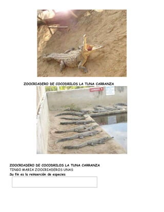 ZOOCRIADERO DE COCODRILOS LA TUNA CARRANZA 
ZOOCRIADERO DE COCODRILOS LA TUNA CARRANZA 
TINGO MARIA ZOOCRIADEROS UNAS 
Su fin es la reinserción de especies 
 