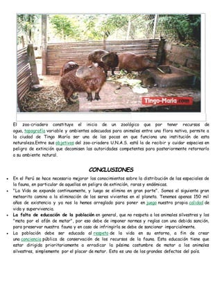 El zoo-criadero constituye el inicio de un zoológico que por tener recursos de 
agua, topografía variable y ambientes adecuados para animales entre una flora nativa, permite a 
la ciudad de Tingo María ser una de las pocas en que funciona una institución de esta 
naturaleza.Entre sus objetivos del zoo-criadero U.N.A.S. está la de recibir y cuidar especies en 
peligro de extinción que decomisen las autoridades competentes para posteriormente retornarlo 
a su ambiente natural. 
CONCLUSIONES 
 En el Perú se hace necesario mejorar los conocimientos sobre la distribución de las especiales de 
la fauna, en particular de aquellas en peligro de extinción, raras y endémicas. 
 "La Vida se expande continuamente, y luego se elimina en gran parte". Somos el siguiente gran 
meteorito camino a la eliminación de los seres vivientes en el planeta. Tenemos apenas 150 mil 
años de existencia y ya nos la hemos arreglado para poner en juego nuestra propia calidad de 
vida y supervivencia. 
 La falta de educación de la población en general, que no respeta a los animales silvestres y los 
"mata por el afán de matar", por eso debe de imponer normas y reglas con una debida sanción, 
para preservar nuestra fauna y en caso de infringirla se debe de sancionar imparcialmente. 
 La población debe ser educada al respeto de la vida en su entorno, a fin de crear 
una conciencia pública de conservación de los recursos de la fauna. Esta educación tiene que 
estar dirigida prioritariamente a erradicar la pésima costumbre de matar a los animales 
silvestres, simplemente por el placer de matar. Esto es uno de los grandes defectos del país. 
 