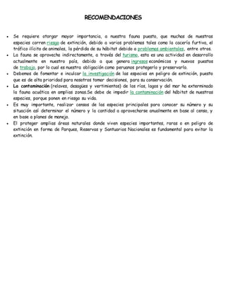 RECOMENDACIONES 
 Se requiere otorgar mayor importancia, a nuestra fauna puesto, que muchas de nuestras 
especies corren riesgo de extinción, debido a varios problemas tales como la cacería furtiva, el 
tráfico ilícito de animales, la pérdida de su hábitat debido a problemas ambientales, entre otros. 
 La fauna se aprovecha indirectamente, a través del turismo, esta es una actividad en desarrollo 
actualmente en nuestro país, debido a que genera ingresos económicos y nuevos puestos 
de trabajo, por lo cual es nuestra obligación como peruanos protegerlo y preservarlo. 
 Debemos de fomentar e inculcar la investigación de las especies en peligro de extinción, puesto 
que es de alta prioridad para nosotros tomar decisiones, para su conservación. 
 La contaminación (relaves, desagües y vertimientos) de los ríos, lagos y del mar ha exterminado 
la fauna acuática en amplias zonas.Se debe de impedir la contaminación del hábitat de nuestras 
especies, porque ponen en riesgo su vida. 
 Es muy importante, realizar censos de las especies principales para conocer su número y su 
situación así determinar el número y la cantidad a aprovecharse anualmente en base al censo, y 
en base a planes de manejo. 
 El proteger amplias áreas naturales donde viven especies importantes, raras o en peligro de 
extinción en forma de Parques, Reservas y Santuarios Nacionales es fundamental para evitar la 
extinción. 
 