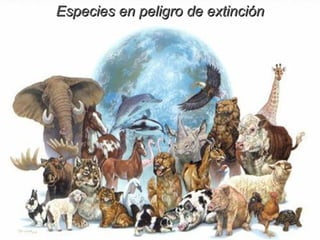Especies en peligro de extinción 