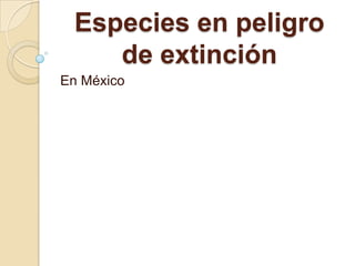 Especies en peligro de extinción En México 