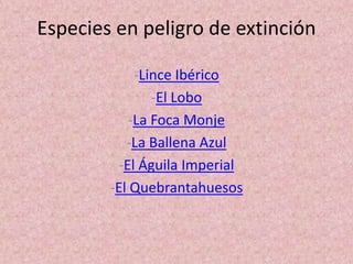 Especies en peligro de extinción
-Lince Ibérico
-El Lobo
-La Foca Monje
-La Ballena Azul
-El Águila Imperial
-El Quebrantahuesos
 