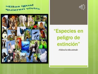“Especies en
peligro de
extinción”
«Valorala vida animal»
 