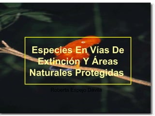 Especies En Vías De
Extinción Y Áreas
Naturales Protegidas
Roberta Espejo Dávila
 