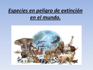 Especies en peligro de extinción
         en el mundo.
 