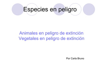 Especies en peligro Animales  en peligro de extinción Vegetales en peligro de extinción Por Carla Bruno 