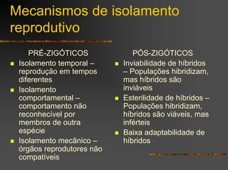 Mecanismos de isolamento
reprodutivo
PRÉ-ZIGÓTICOS
Isolamento temporal –
reprodução em tempos
diferentes
Isolamento
comportamental –
comportamento não
reconhecível por
membros de outra
espécie
Isolamento mecânico –
órgãos reprodutores não
compatíveis
PÓS-ZIGÓTICOS
Inviabilidade de híbridos
– Populações hibridizam,
mas híbridos são
inviáveis
Esterilidade de híbridos –
Populações hibridizam,
híbridos são viáveis, mas
inférteis
Baixa adaptabilidade de
híbridos
 