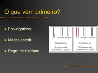 O que vêm primeiro?
Pós-zigóticos
Macho estéril
Regra de Haldane
 
