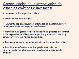 Consecuencias de la introducción de
especies exóticas e invasoras:
 Amenaza a las especies nativas.
 Modifica los ecosistemas.
 Aumenta los presupuestos afectados al mantenimiento y
sobrevivencia de las especies autóctonas.
 Generan mas gastos como la creación de puestos de control
en la expansión de diferentes especies que se reproducen y
ganan territorio en forma desmedida.
 Pueden provocar el desplazamiento de las especies nativas.
 Perdidas económicas para los productores de una
zona, afección en plantaciones, producción y crianza de
animales.
 