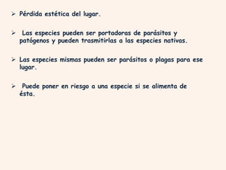  Pérdida estética del lugar.
 Las especies pueden ser portadoras de parásitos y
patógenos y pueden trasmitirlas a las especies nativas.
 Las especies mismas pueden ser parásitos o plagas para ese
lugar.
 Puede poner en riesgo a una especie si se alimenta de
ésta.
 