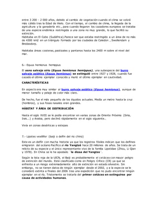 entre 3 200 - 2 000 años, debido al cambio de vegetación cuando el clima se volvió
más cálido tras la Edad de Hielo. Con el tiempo, el cambio de clima, la llegada de la
agricultura y la ganadería etc., para cuando llegaron los cazadores europeos se trataba
de una especie endémica restringida a una zona no muy grande, lo que facilitó su
extinción.
Habitaba en El Cabo (Sudáfrica).Parece ser que estaba restringido a un área de no más
de 4300 km2 en un triángulo formado por las ciudades de Caledon , Swellendam y
Bredasdorp.
Habitaba áreas costeras, pastizales y pantanos hasta los 2400 m sobre el nivel del
mar.
6.- Equus hemionus hemippus
El asno salvaje sirio (Equus hemionus hemippus), una subespecie del burro
salvaje asiático (Equus hemionus) se extinguió entre 1927 y 1928, cuando fue
cazado el último ejemplar conocido y murió el último ejemplar en cautividad.
CARACTERÍSTICAS
En aspecto era muy similar al burro salvaje asiático (Equus hemionus), aunque de
menor tamaño y pelaje de color más claro.
De hecho, fue el más pequeño de los équidos actuales. Medía un metro hasta la cruz
(hombros), y sus fosas nasales eran grandes.
HÁBITAT Y ÁREA DE DISTRIBUCIÓN
Hasta el siglo XVIII se le podía encontrar en varias zonas de Oriente Próximo (Siria,
Irak...) y Arabia, pero declinó rápidamente en el siglo siguiente..
Vivía en zonas desérticas y estepas
7.- Lipotes vexillifer (baiji o delfin del rio chino)
Este es un delfín con mucha historia ya que los registros fósiles indican que los delfines
emigraron del océano Pacífico al río Yangtzé hace 20 millones de años. Se trata de un
relicto de su especie y el único representante vivo de la familia Lipotidae (Zhou, Li Qian
y 1978). En China se le ha apodado ´la diosa del Yangtze´.
Según la lista roja de la UICN, el Baiji es probablemente el cetáceo con mayor peligro
de extinción del mundo. Está clasificado como en Peligro Crítico (CR) ya que se
enfrenta a un riesgo extremadamente alto de extinción en estado silvestre. Sin
embargo, no se tienen datos de ningún ejemplar desde el 2002, y a la especie se le
consideró extinta a finales del 2006 tras una expedición que no pudo encontrar ningún
ejemplar en el río. Tristemente se trataría del primer cetáceo en extinguirse por
causa de actividades humanas.
 