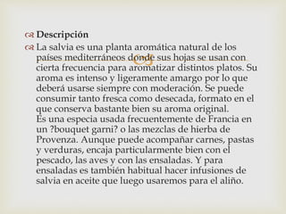
 Descripción
 La salvia es una planta aromática natural de los
países mediterráneos donde sus hojas se usan con
cierta frecuencia para aromatizar distintos platos. Su
aroma es intenso y ligeramente amargo por lo que
deberá usarse siempre con moderación. Se puede
consumir tanto fresca como desecada, formato en el
que conserva bastante bien su aroma original.
Es una especia usada frecuentemente de Francia en
un ?bouquet garni? o las mezclas de hierba de
Provenza. Aunque puede acompañar carnes, pastas
y verduras, encaja particularmente bien con el
pescado, las aves y con las ensaladas. Y para
ensaladas es también habitual hacer infusiones de
salvia en aceite que luego usaremos para el aliño.
 