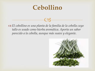 
 El cebollino es una planta de la familia de la cebolla cuyo
tallo es usado como hierba aromática. Aporta un sabor
parecido a la cebolla, aunque más suave y elegante.
Cebollino
 
