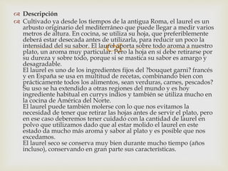 
 Descripción
 Cultivado ya desde los tiempos de la antigua Roma, el laurel es un
arbusto originario del mediterráneo que puede llegar a medir varios
metros de altura. En cocina, se utiliza su hoja, que preferiblemente
deberá estar desecada antes de utilizarla, para reducir un poco la
intensidad del su sabor. El laurel aporta sobre todo aroma a nuestro
plato, un aroma muy particular. Pero la hoja en sí debe retirarse por
su dureza y sobre todo, porque si se mastica su sabor es amargo y
desagradable.
El laurel es uno de los ingredientes fijos del ?bouquet garni? francés
y en España se usa en multitud de recetas, combinando bien con
prácticamente todos los alimentos, sean verduras, carnes, pescados?
Su uso se ha extendido a otras regiones del mundo y es hoy
ingrediente habitual en currys indios y también se utiliza mucho en
la cocina de América del Norte.
El laurel puede también molerse con lo que nos evitamos la
necesidad de tener que retirar las hojas antes de servir el plato, pero
en ese caso deberemos tener cuidado con la cantidad de laurel en
polvo que utilizamos dado que al estar molido el laurel en este
estado da mucho más aroma y sabor al plato y es posible que nos
excedamos.
El laurel seco se conserva muy bien durante mucho tiempo (años
incluso), conservando en gran parte sus características.
 