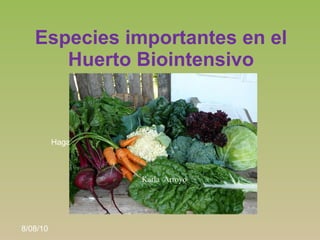 Especies importantes en el
      Huerto Biointensivo



          Haga clic para modificar el estilo de subtítulo del patrón



                                    Karla Arroyo




8/08/10
 