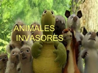 ANIMALES
INVASORES
 